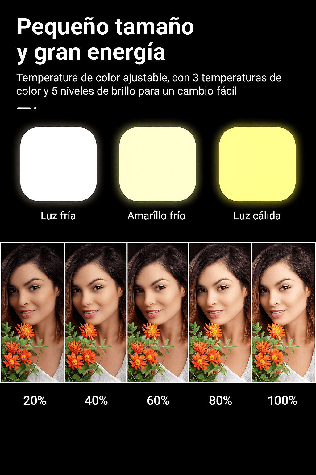 Luz LED con espejo portátil: ilumina y graba como un pro